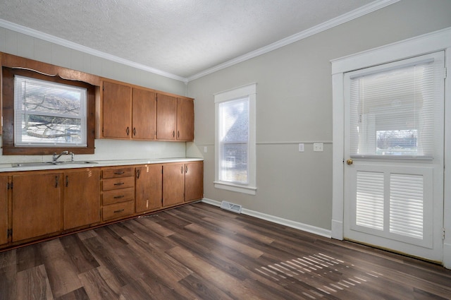 kitchen featuring sink, crown molding, dark hardwood / wood-style flooring, and a textured ceiling