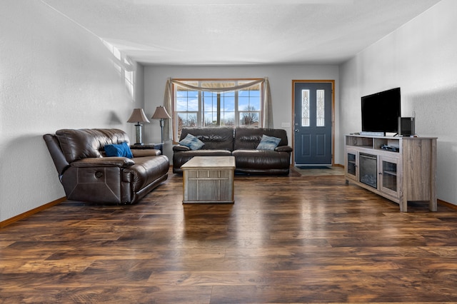 living room featuring dark wood-type flooring