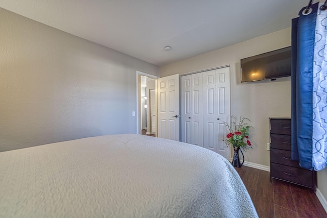 29 Fall Creek Dr Unit 2, Branson, MO 65616 - bedroom featuring dark wood-type flooring and a closet