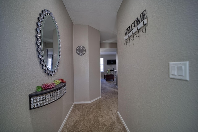 hallway with carpet flooring and a textured ceiling