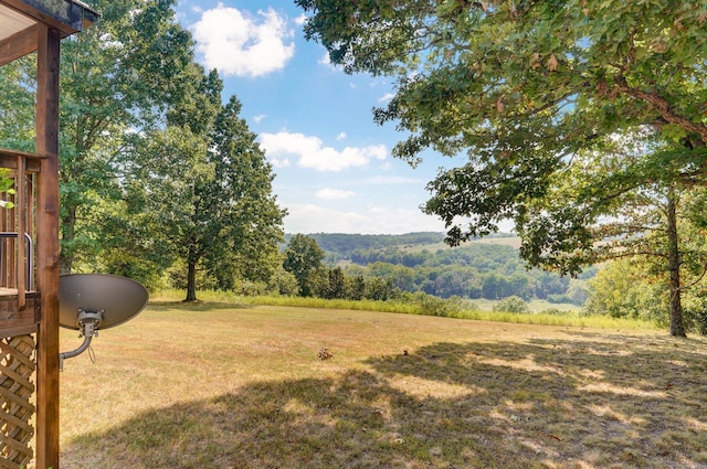 251-A Holly Ln, Galena, MO 65656 - photo 9