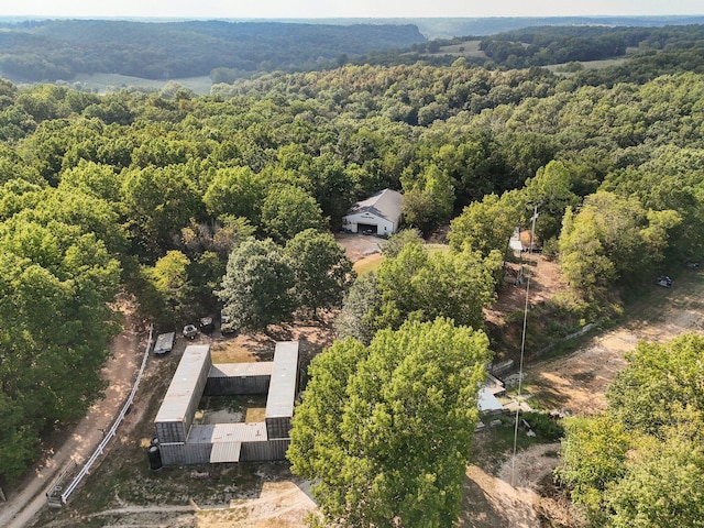251-A Holly Ln, Galena, MO 65656 - photo 39