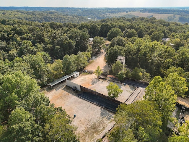 251-A Holly Ln, Galena, MO 65656 - photo 48