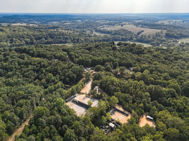 251-A Holly Ln, Galena, MO 65656 - photo 49
