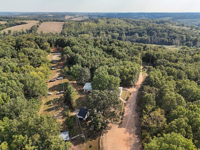 251-A Holly Ln, Galena, MO 65656 - photo 52