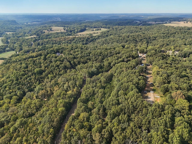251-A Holly Ln, Galena, MO 65656 - photo 55