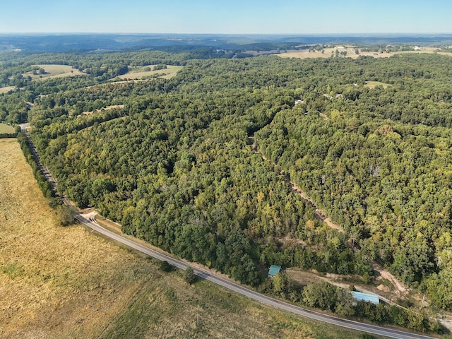 251-A Holly Ln, Galena, MO 65656 - photo 56