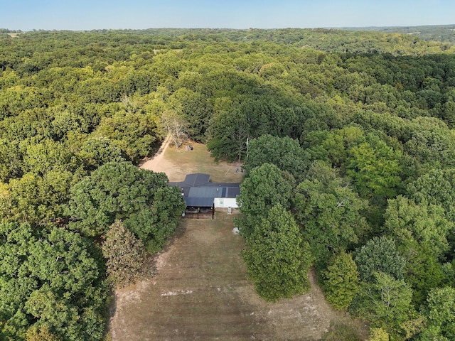 251-A Holly Ln, Galena, MO 65656 - photo 59