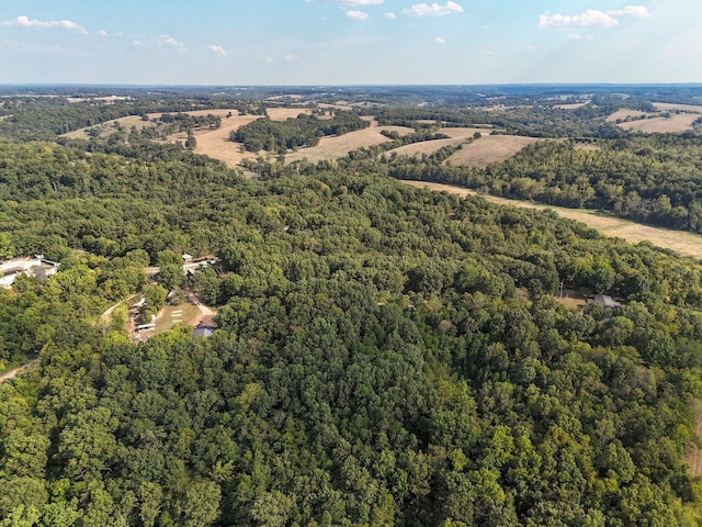 251-A Holly Ln, Galena, MO 65656 - photo 61