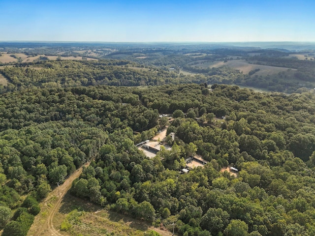 251-A Holly Ln, Galena, MO 65656 - photo 62
