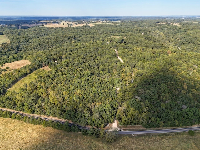 251-A Holly Ln, Galena, MO 65656 - photo 57