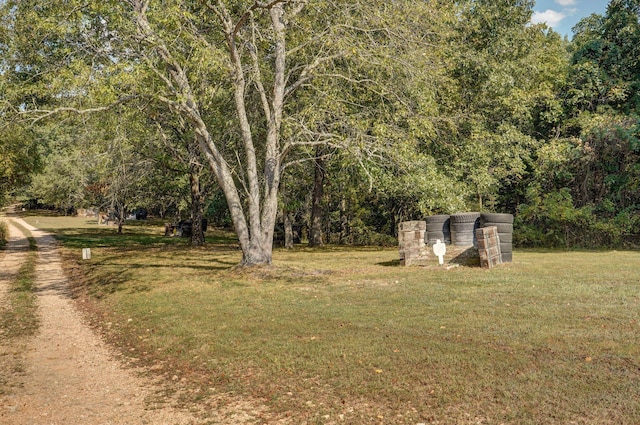 251-A Holly Ln, Galena, MO 65656 - photo 68
