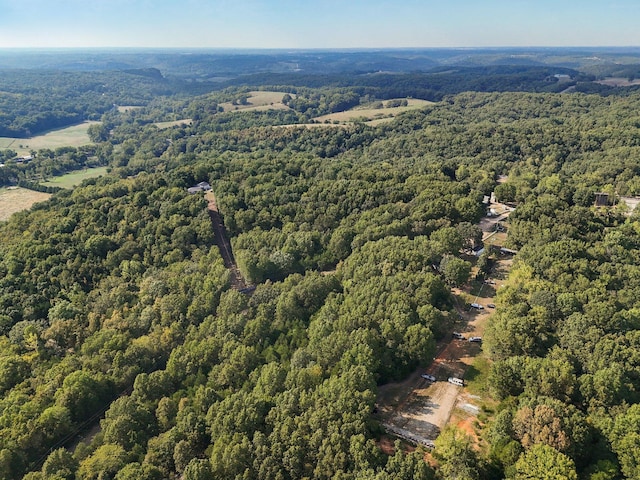 251-A Holly Ln, Galena, MO 65656 - photo 54