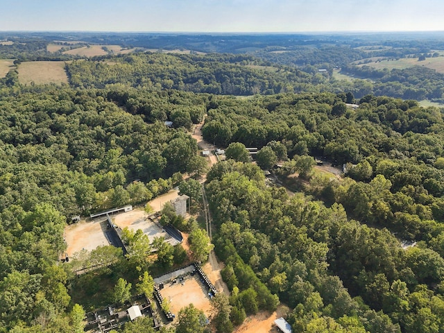 251-A Holly Ln, Galena, MO 65656 - photo 50