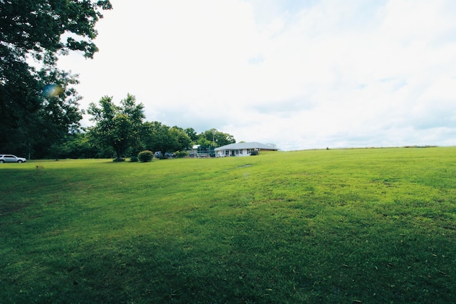 view of yard with a rural view