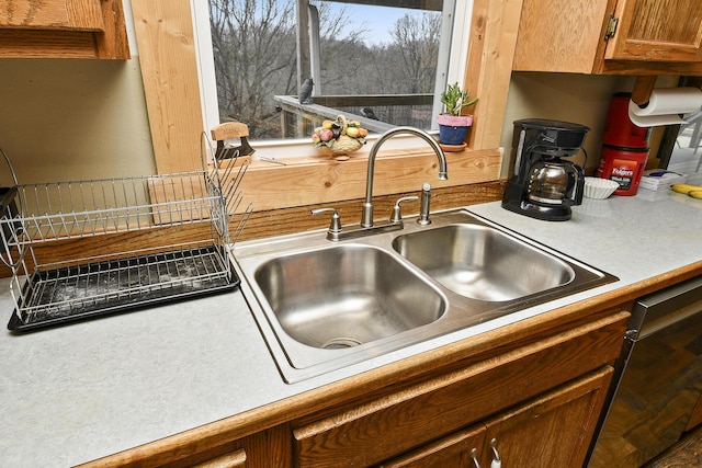 details with dishwasher and sink