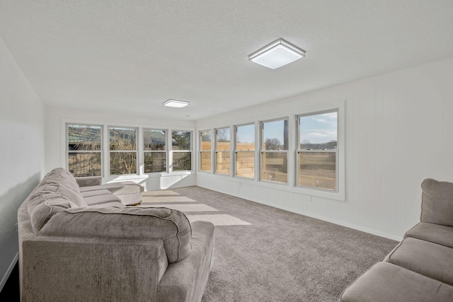 213 Mill St, Anderson, MO 64831 - carpeted living area featuring a textured ceiling