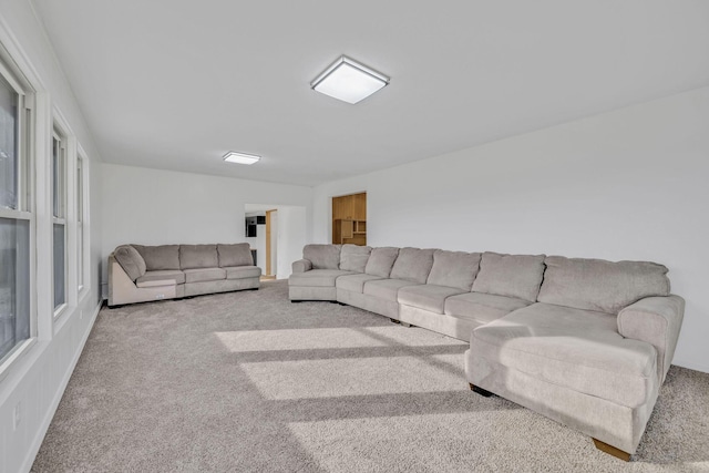 213 Mill St, Anderson, MO 64831 - living area with carpet flooring