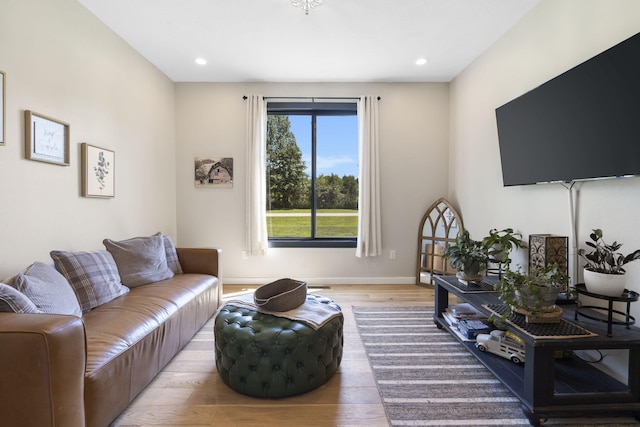 living room featuring hardwood / wood-style flooring