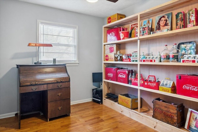 storage room featuring ceiling fan