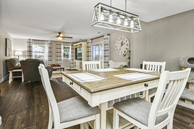 dining room with ceiling fan and dark hardwood / wood-style floors