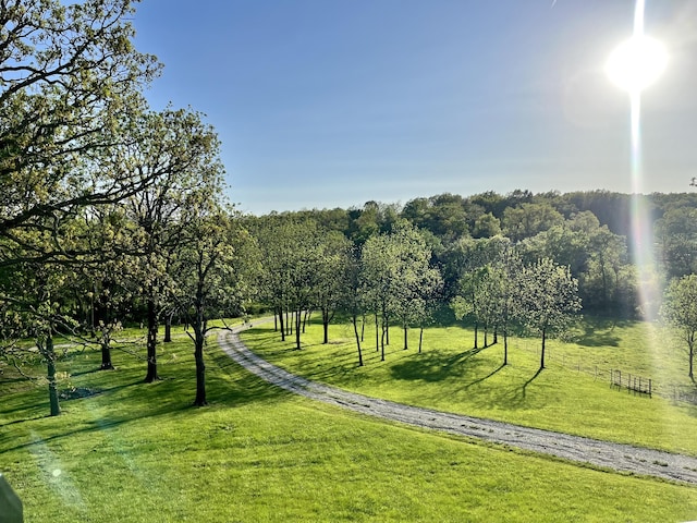 view of property's community featuring a yard and a rural view