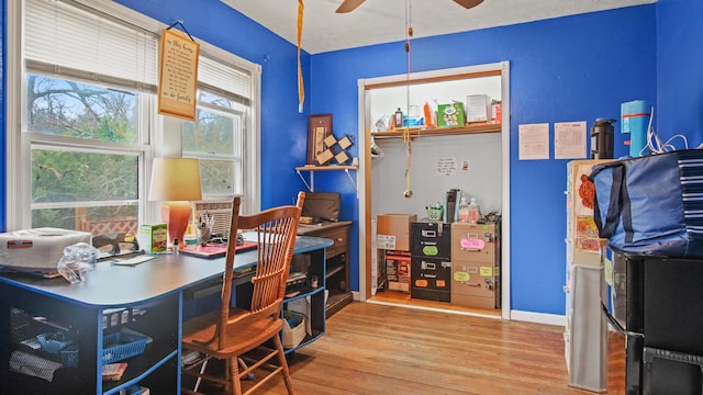 office featuring hardwood / wood-style flooring and ceiling fan