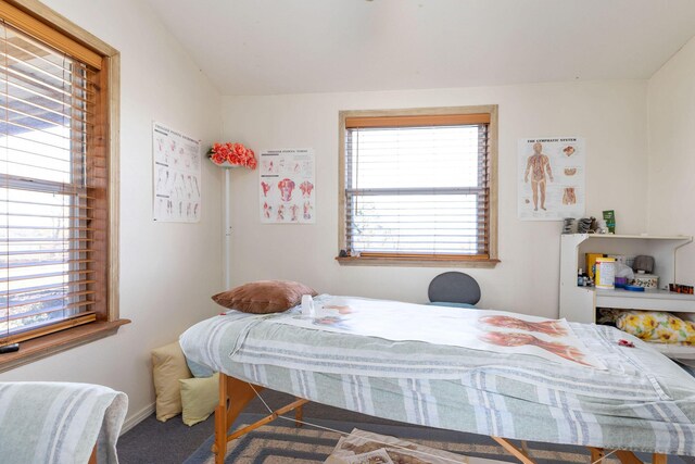 bedroom featuring carpet