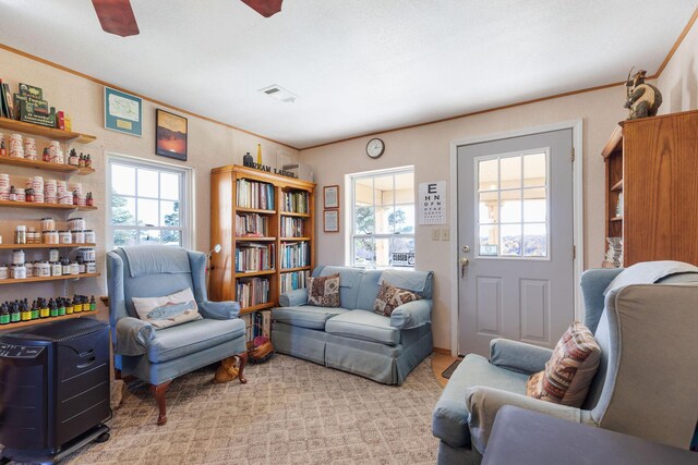 carpeted living room featuring ceiling fan