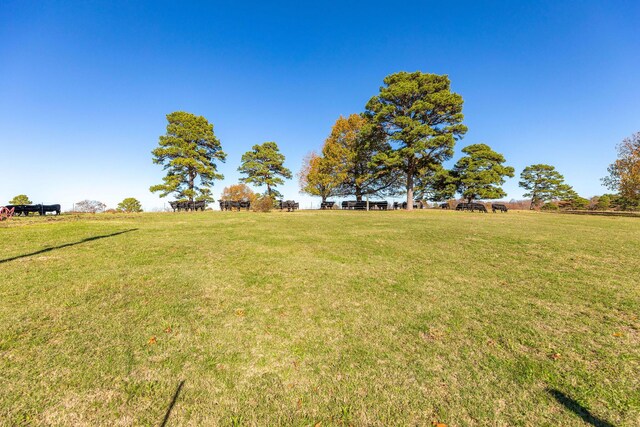 view of yard with a rural view