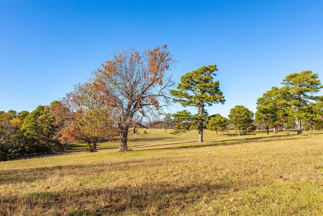 view of yard featuring a rural view