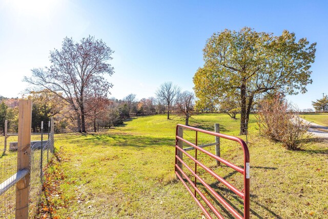 view of yard with a rural view