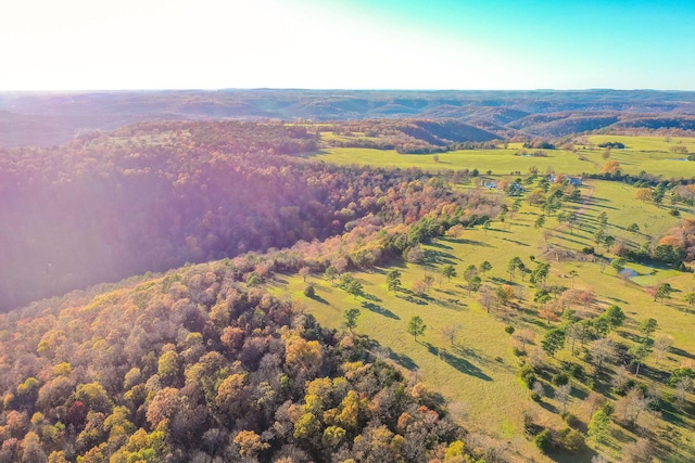 bird's eye view featuring a rural view