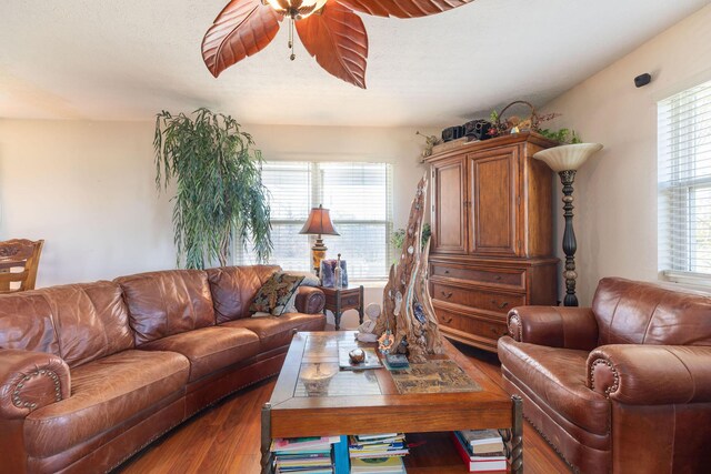 living room with ceiling fan and wood-type flooring