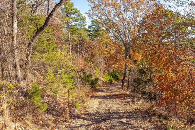 view of local wilderness