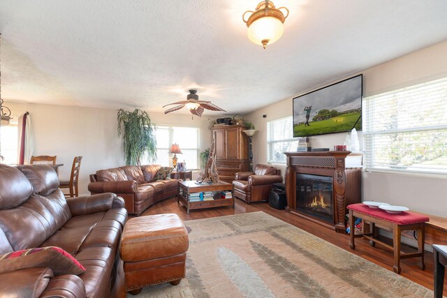 living room with hardwood / wood-style floors, a textured ceiling, and ceiling fan