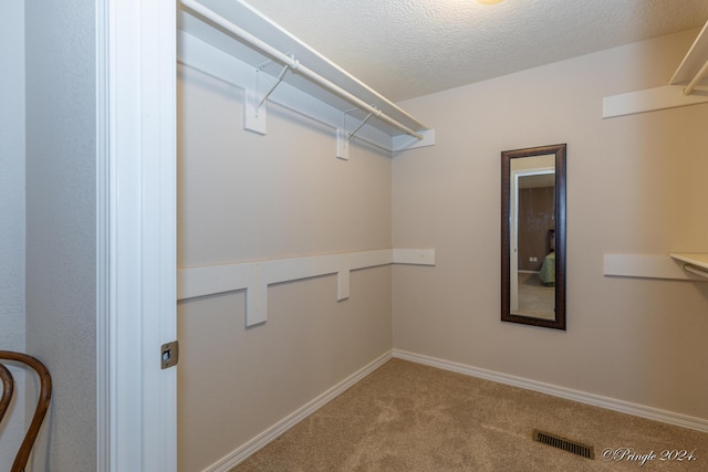 spacious closet featuring carpet flooring