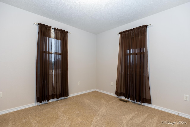 empty room with carpet and a textured ceiling