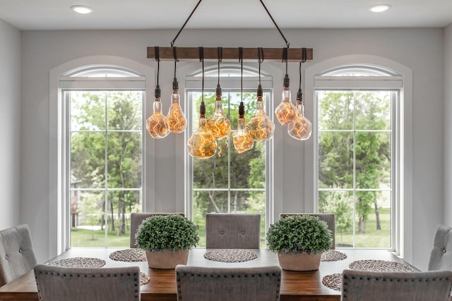 dining space with a wealth of natural light