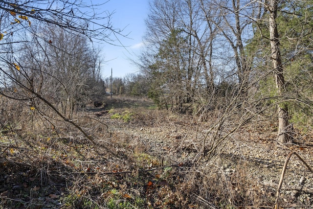 view of local wilderness