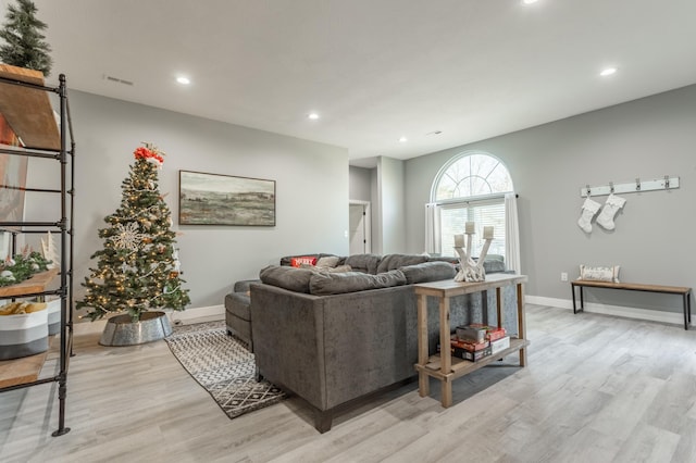 living room with light wood-type flooring