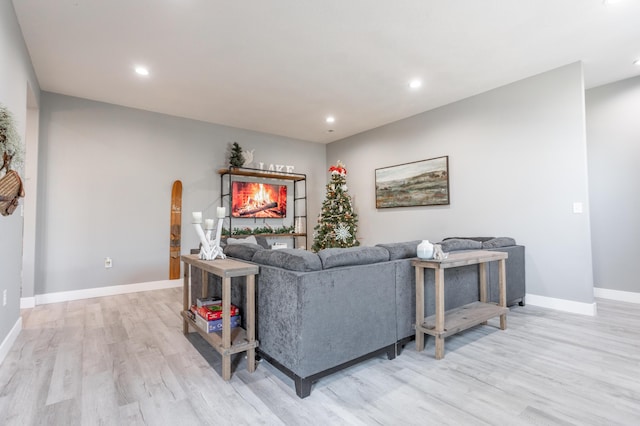 living room featuring light hardwood / wood-style flooring