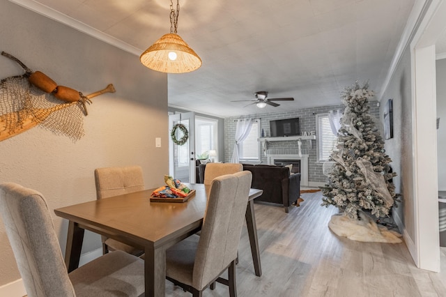 dining area featuring ceiling fan, a fireplace, ornamental molding, and light wood-type flooring