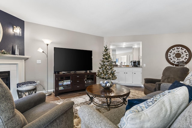 living room featuring a fireplace and hardwood / wood-style flooring