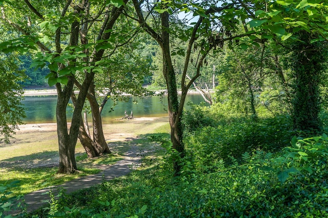 view of yard featuring a water view