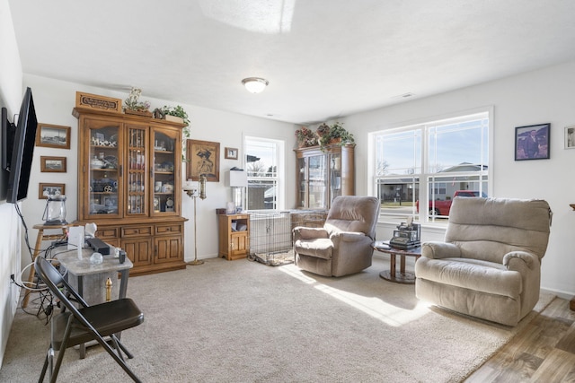 living room featuring hardwood / wood-style flooring