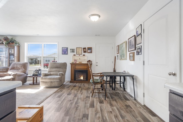 living room with hardwood / wood-style floors