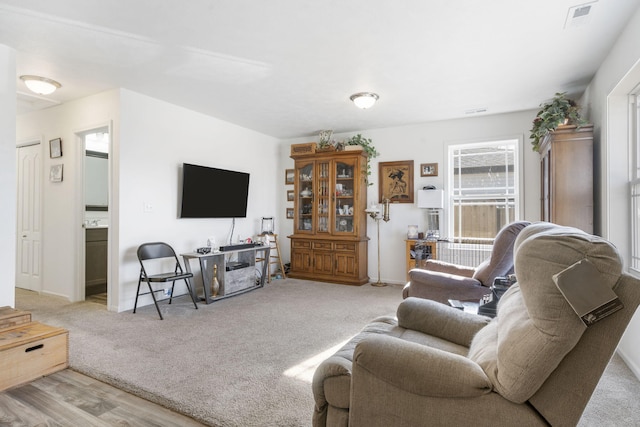 living room featuring light wood-type flooring