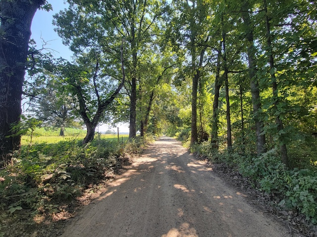 000 County Road 206, Alton MO, 65606 land for sale