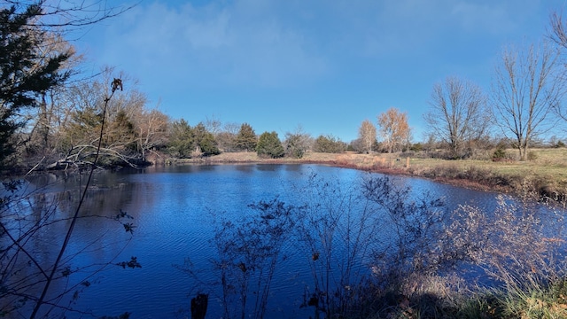 view of water feature